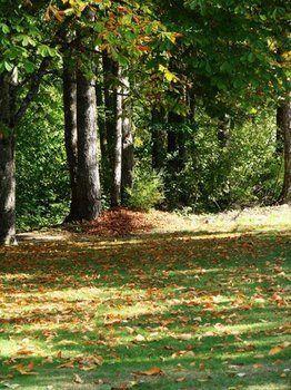 Cabins And Campground At Cultus Lake Park Chilliwack Bagian luar foto